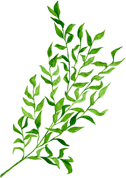 Branch of Green Leaves Cutout